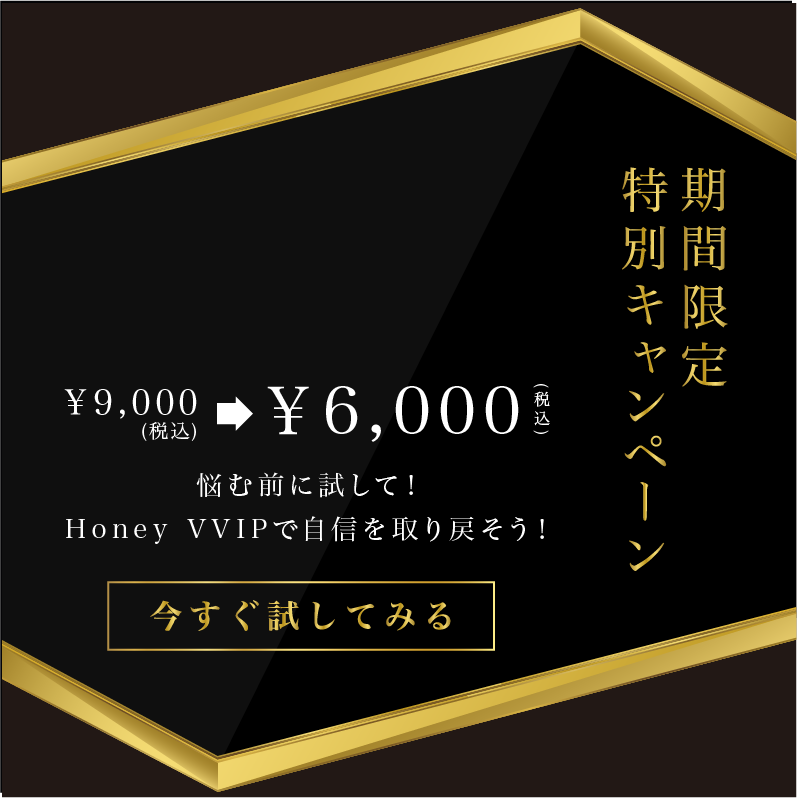 期間限定特別キャンペーン。Honeypara - Honey makes your paradise - 通常価格9,000円（税込）が6,000円（税込）に。悩む前に試して！Honey VVIPで自信を取り戻そう！今すぐ試してみるボタン付き。